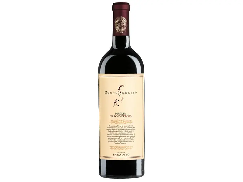 2022 Nonno Angelo Nero di Troia